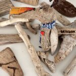 spanish aqua dog (copy)