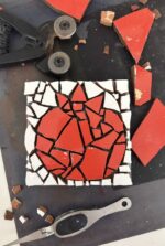 pomegranate: red–white mosaic