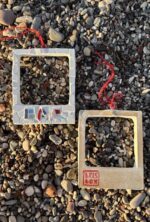 pomegranate: red–white mosaic (copy)